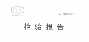 提升機(jī)重力下放裝置檢驗報告